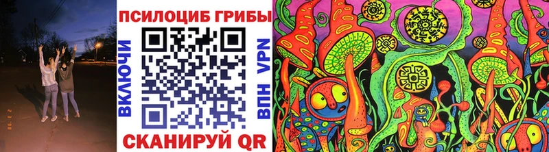 Псилоцибиновые грибы прущие грибы  наркошоп  гидра tor  Сясьстрой 